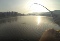 Pêche à la mouche au réservoir de la Base de Loisirs du Lac de la Moselotte